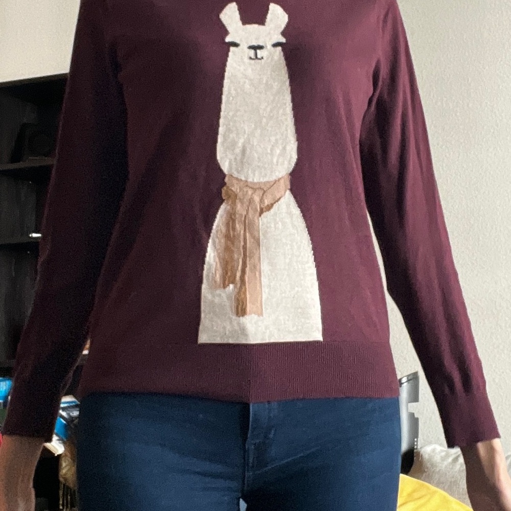 Banana Republic Burgundy Crewneck Sweater